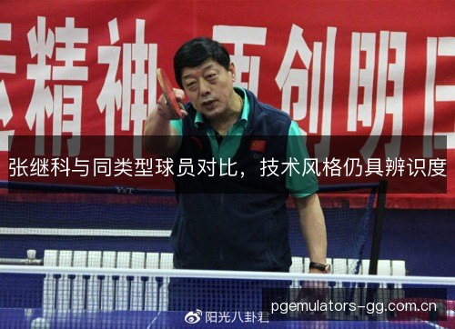 张继科与同类型球员对比,技术风格仍具辨识度 张继科与同类型球员对比,技术风格仍具辨识度